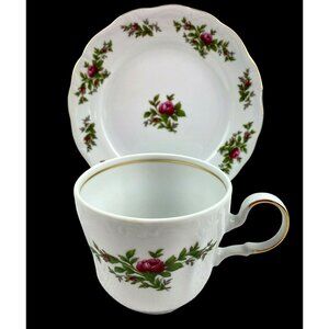 Traditions Fine China Tea Cup & Dessert Plate Johann Haviland Pink Wild Rose